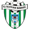 Slovan Bzenec