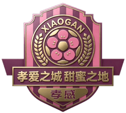 Xiaogan Team Xiaogan Team