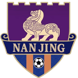 Nanjing Team