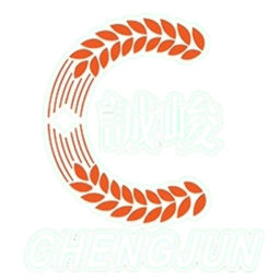 Guangdong Chengjun Guangdong Chengjun