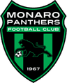 Monaro Panthers