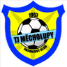 TJ Mecholupy