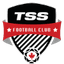 تي إس إس