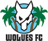 Wolues FC
