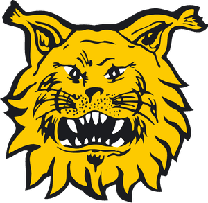 Ilves