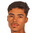 Kauã Henrique Gomes Paiao