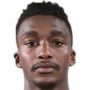 محمد الشنقيطي