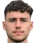 لويس هارتويغ