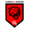 flamengo arcoverde flamengo arcoverde