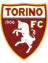 Torino Under 17