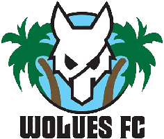 Wolues FC Wolues FC