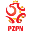 Liga Regional de Polonia