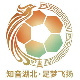 Hubei City Football League