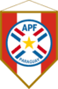 Copa Paraguaya Femenina