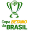 كأس البرازيل