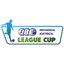 Piala Liga Irlandia Utara