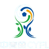 চীন যুব ফুটবল লিগ (পুরুষ U15 গ্রুপ)
