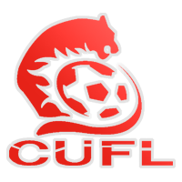 Liga universitaria china