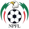 Nijerya Premier Ligi