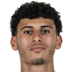 Ayoube Amaimouni-Echghouyab