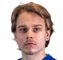 Peetu haikonen