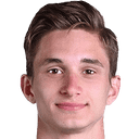 Dominik Plestil