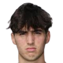 Luca Barani