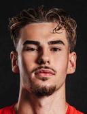 Merlin Sinanovic
