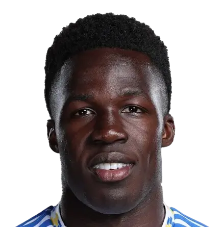 Wilfried Gnonto