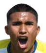 راميرو ميغيل بيرالتا