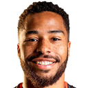 Belotti vinicius