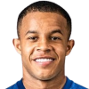 Pedro Henrique Silva dos Santos