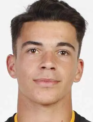 Vlad Frumuzache