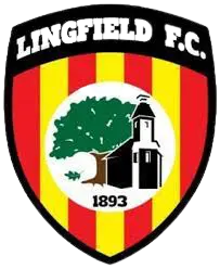 Lingfield FC