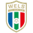 FC HOGO Hertha Wels