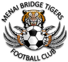 Menai Bridge Tigers