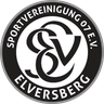SV Elversberg U19