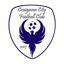 Craigavon City (W)