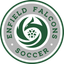 Enfield City Falcos