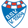 Brinkumer SV