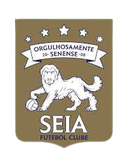 Seia FC Sub-17