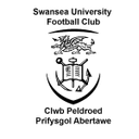 Universitas Swansea