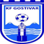 FK Rinija Gostivar