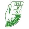 Pelikan Lowicz