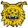 Ilves Sub-20