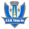CSM Targu Jiu