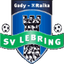 SV Lebring