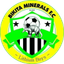 بيكيتا معادن FC