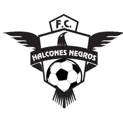 Halcones Negros