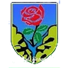 Seravezza Calcio